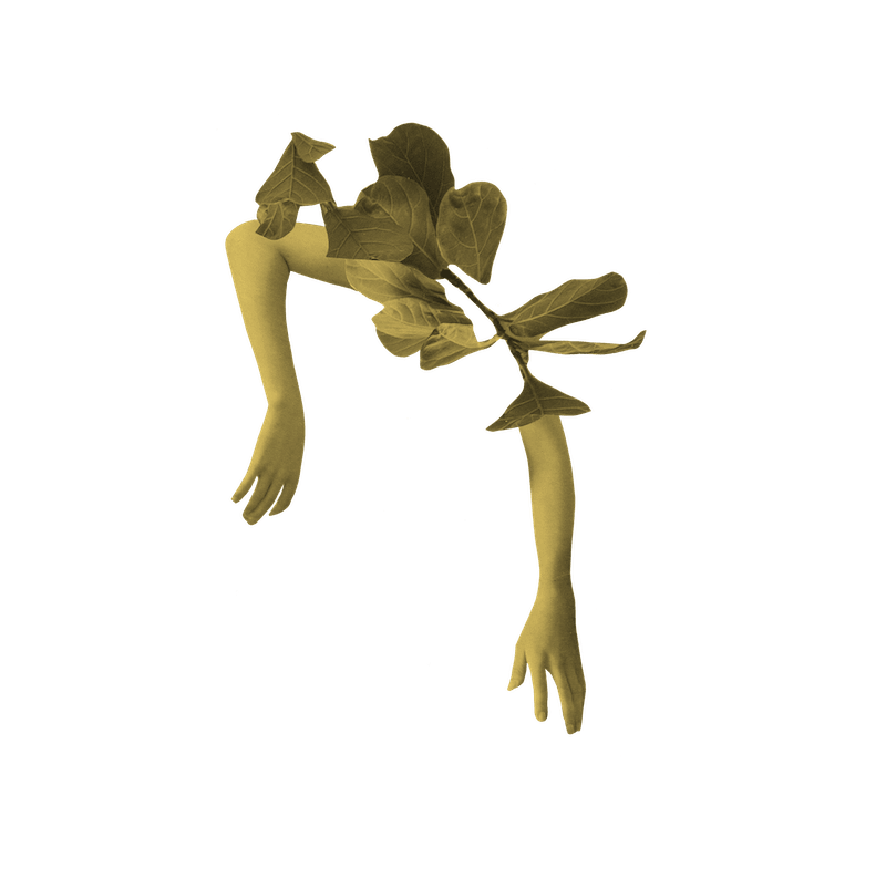 Yellow illustration on black background showing random collage of human body parts