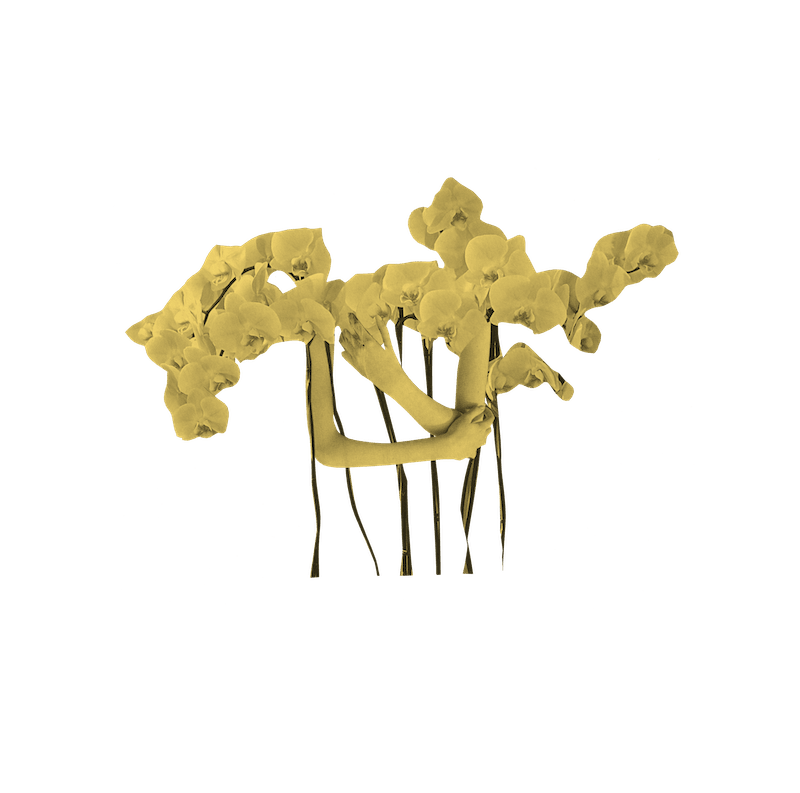 Yellow illustration on black background showing random collage of human body parts